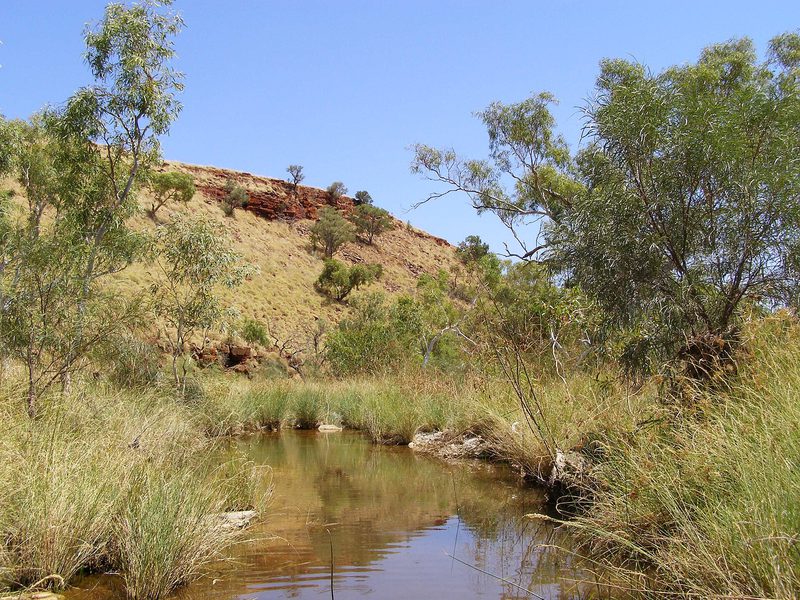 A creek in the Hamersley Range, the Pilbara landscape where Juukan Gorge lies