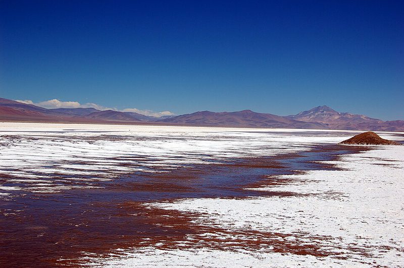 Le Salar de Maricunga, dans la région chilienne d’Atacama